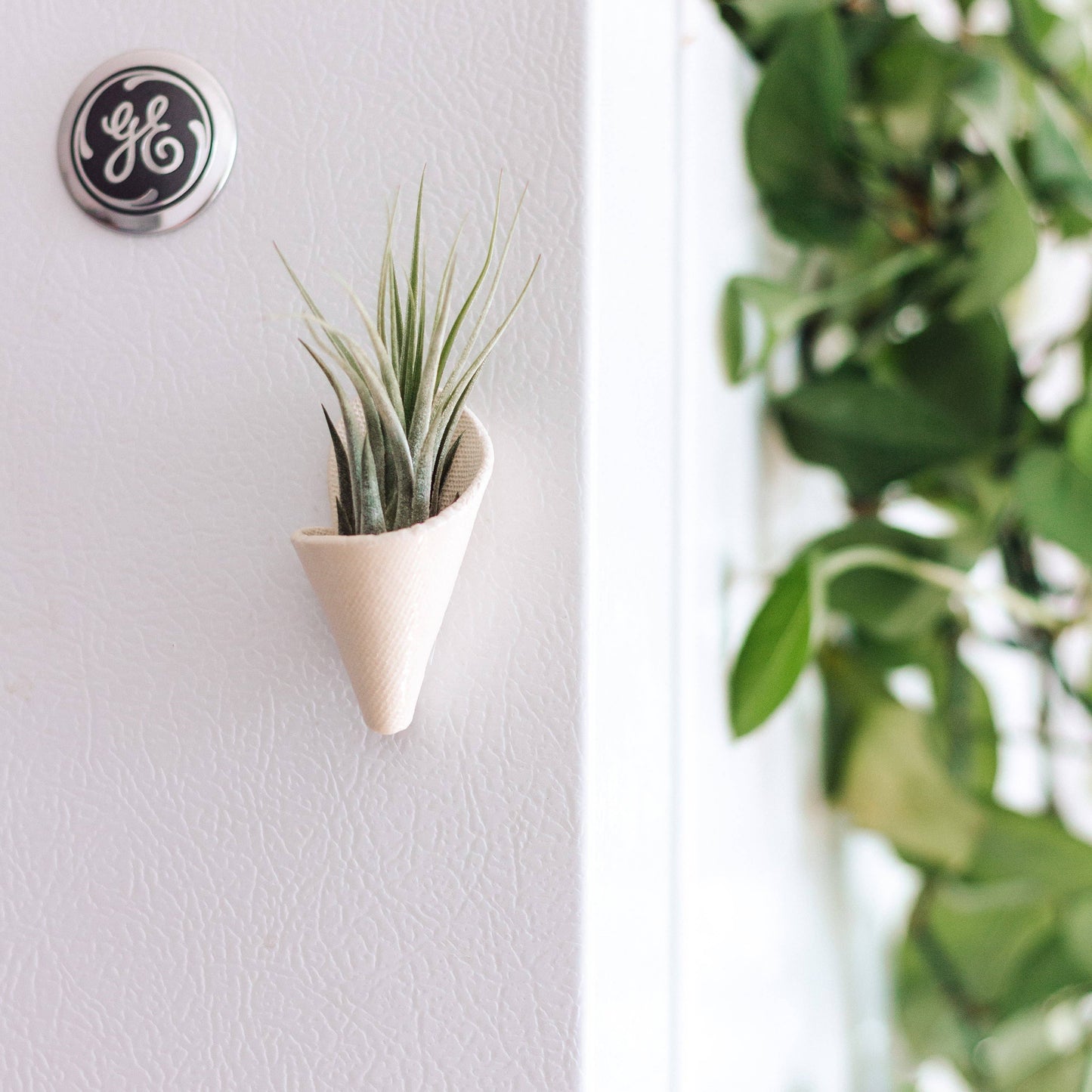 Tiny Ceramic Magnet Planter: Speckled White / With Plant