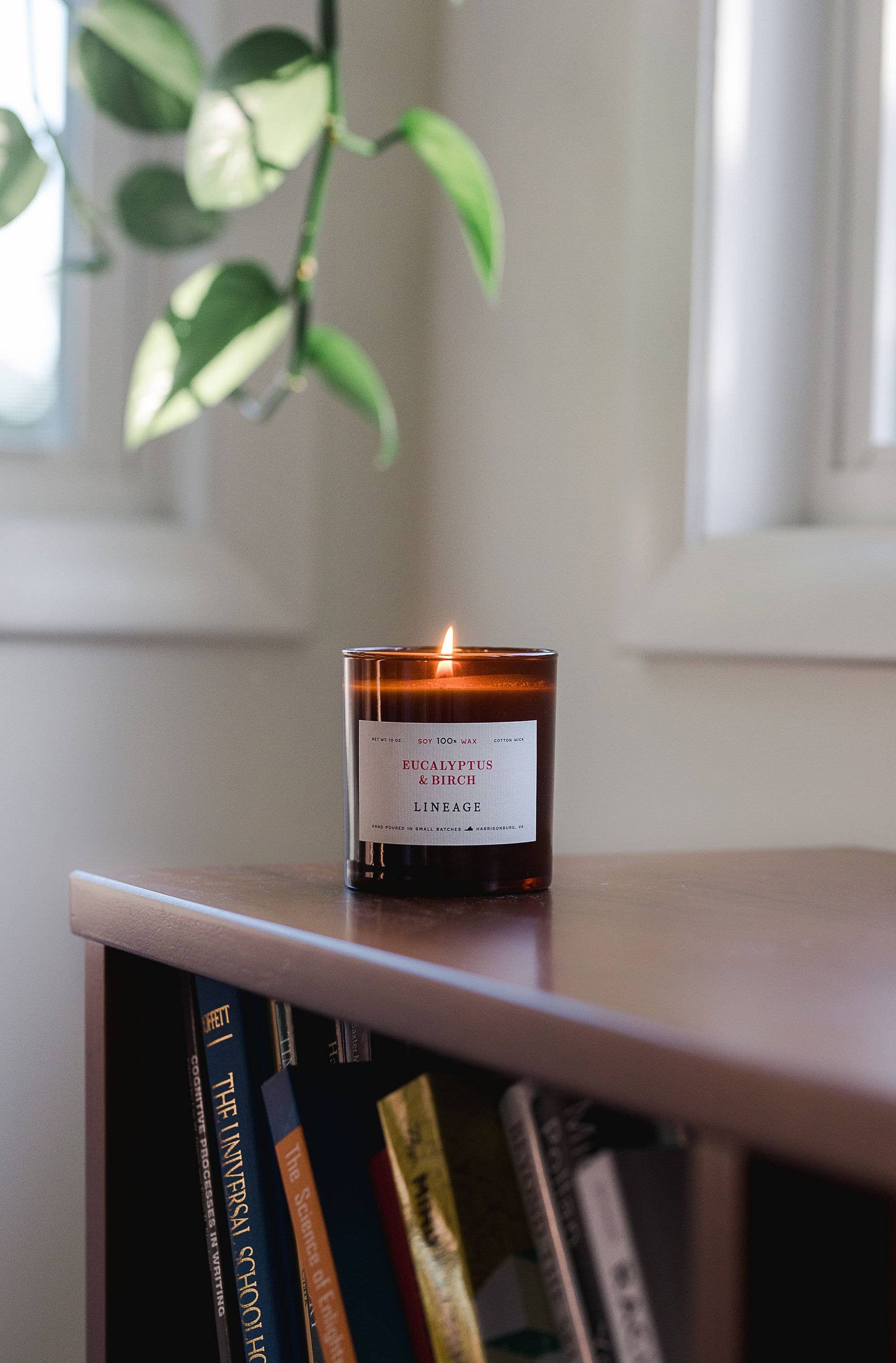 Eucalyptus & Birch Candle