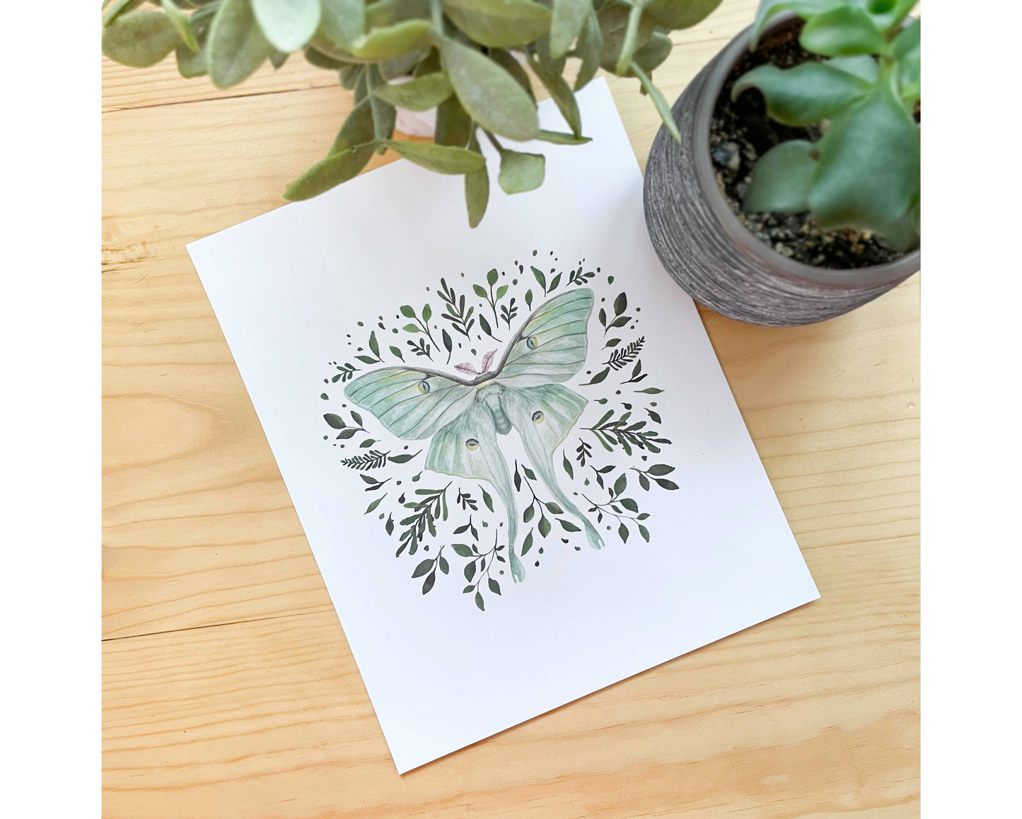 Luna Moth Watercolor Artwork Print