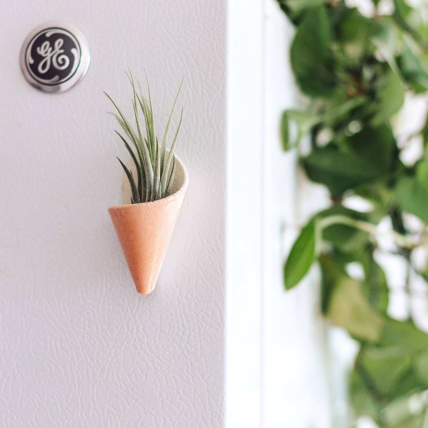 Tiny Ceramic Magnet Planter: Speckled White / With Plant