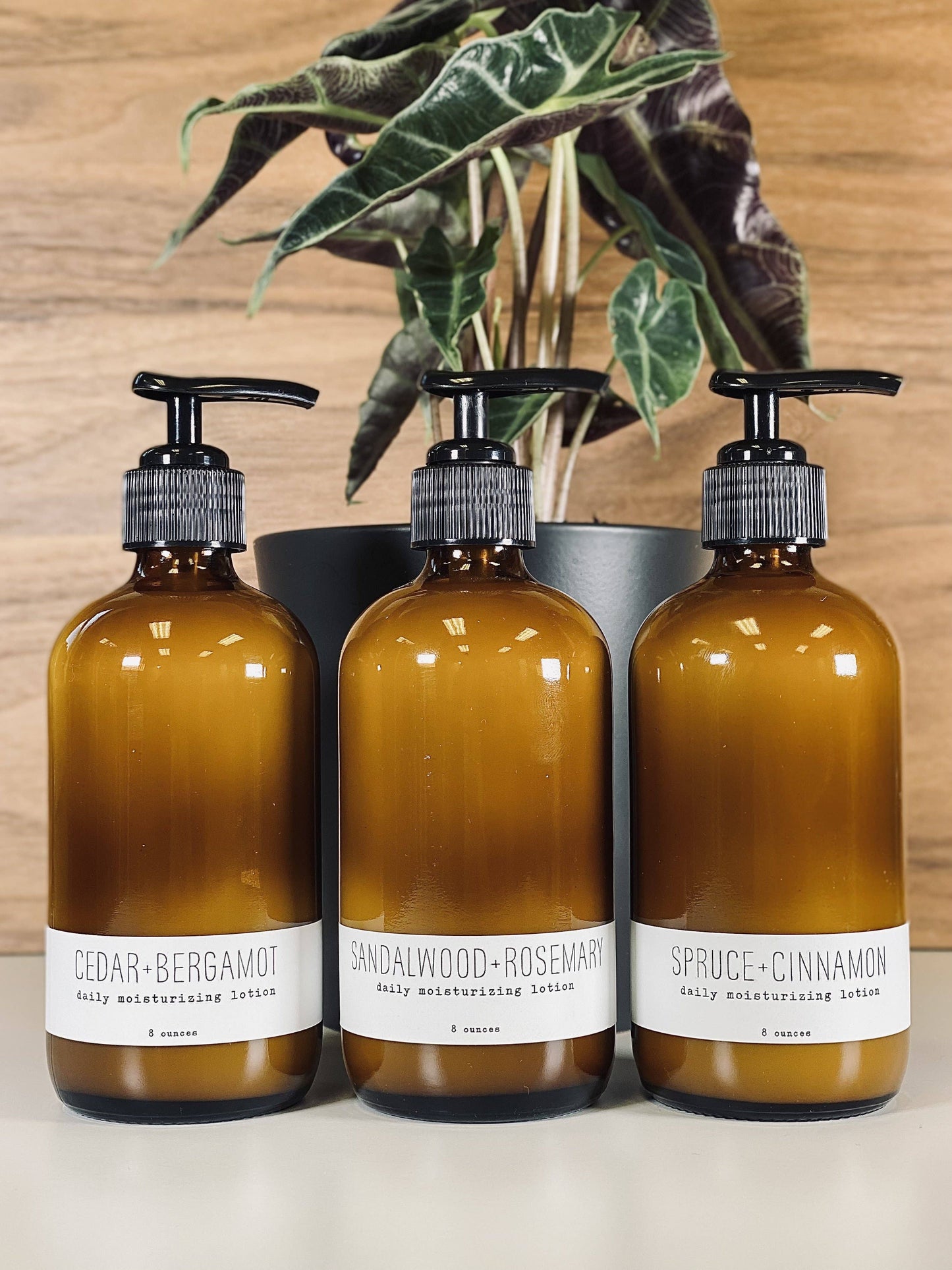 Daily Moisturizing Lotion -Sandalwood + Rosemary