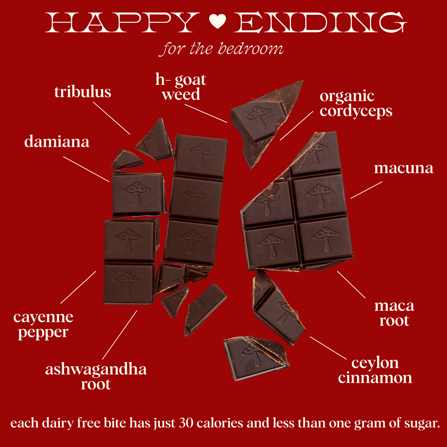 Alice Mushrooms - Happy Ending - mushroom chocolate supplement for wellness