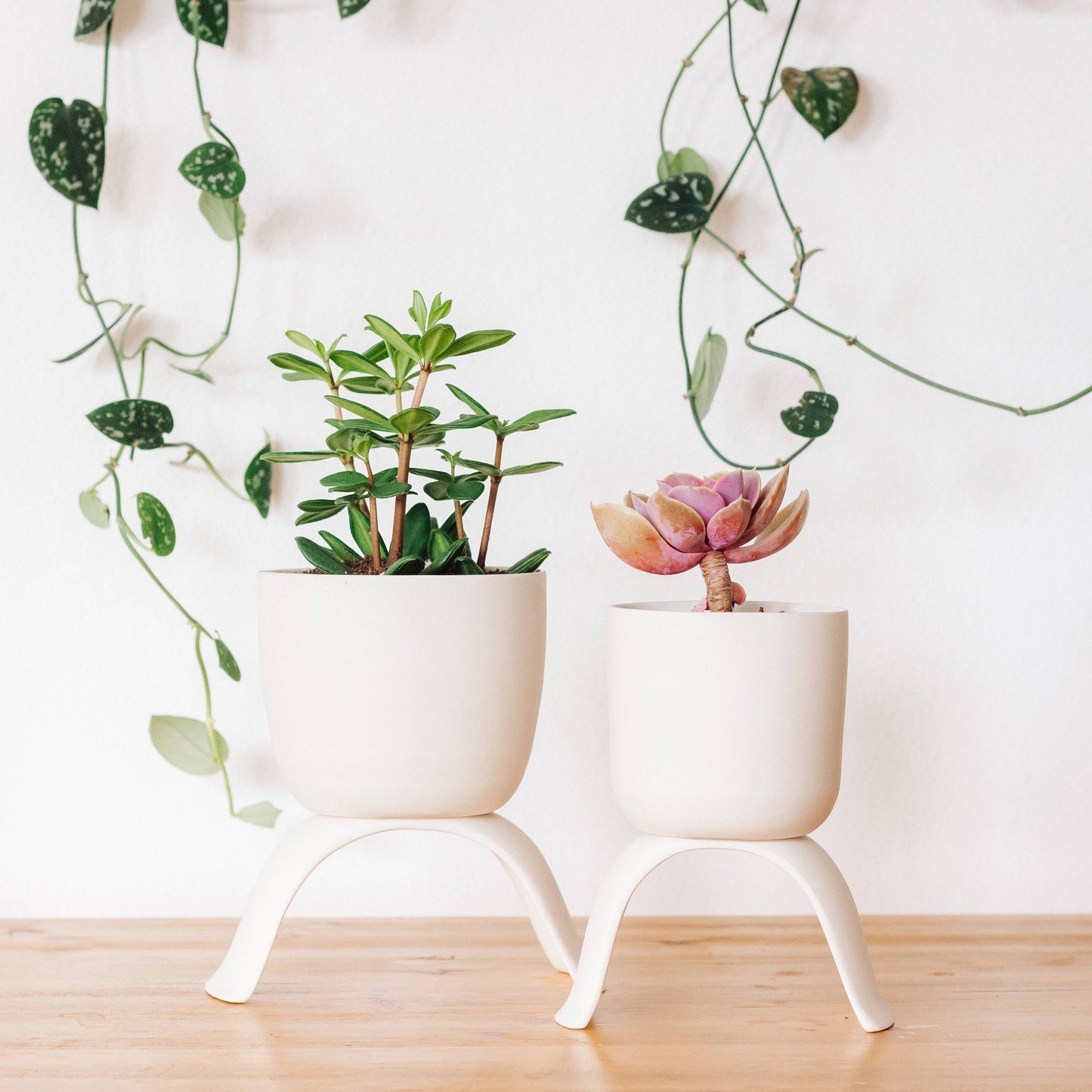 High Rise, Classic Planters: Small (3.5")