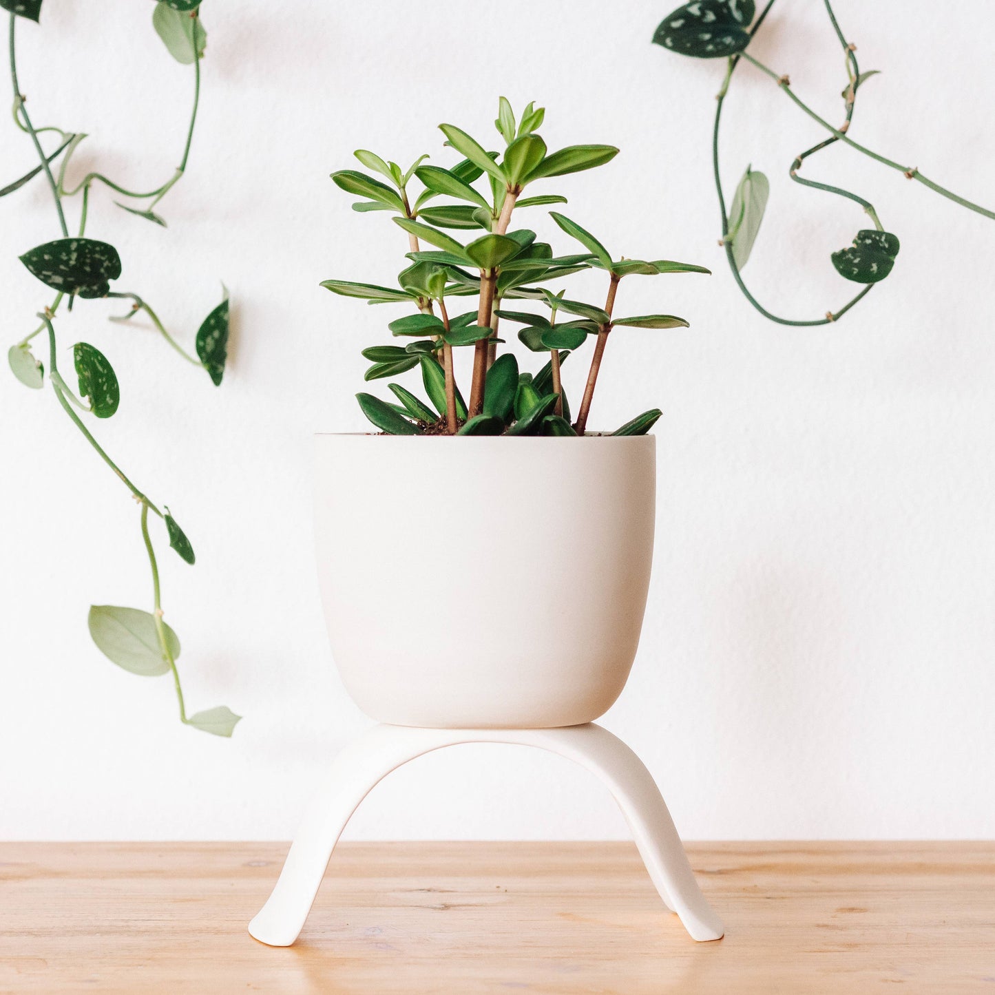 High Rise, Classic Planters: Small (3.5")