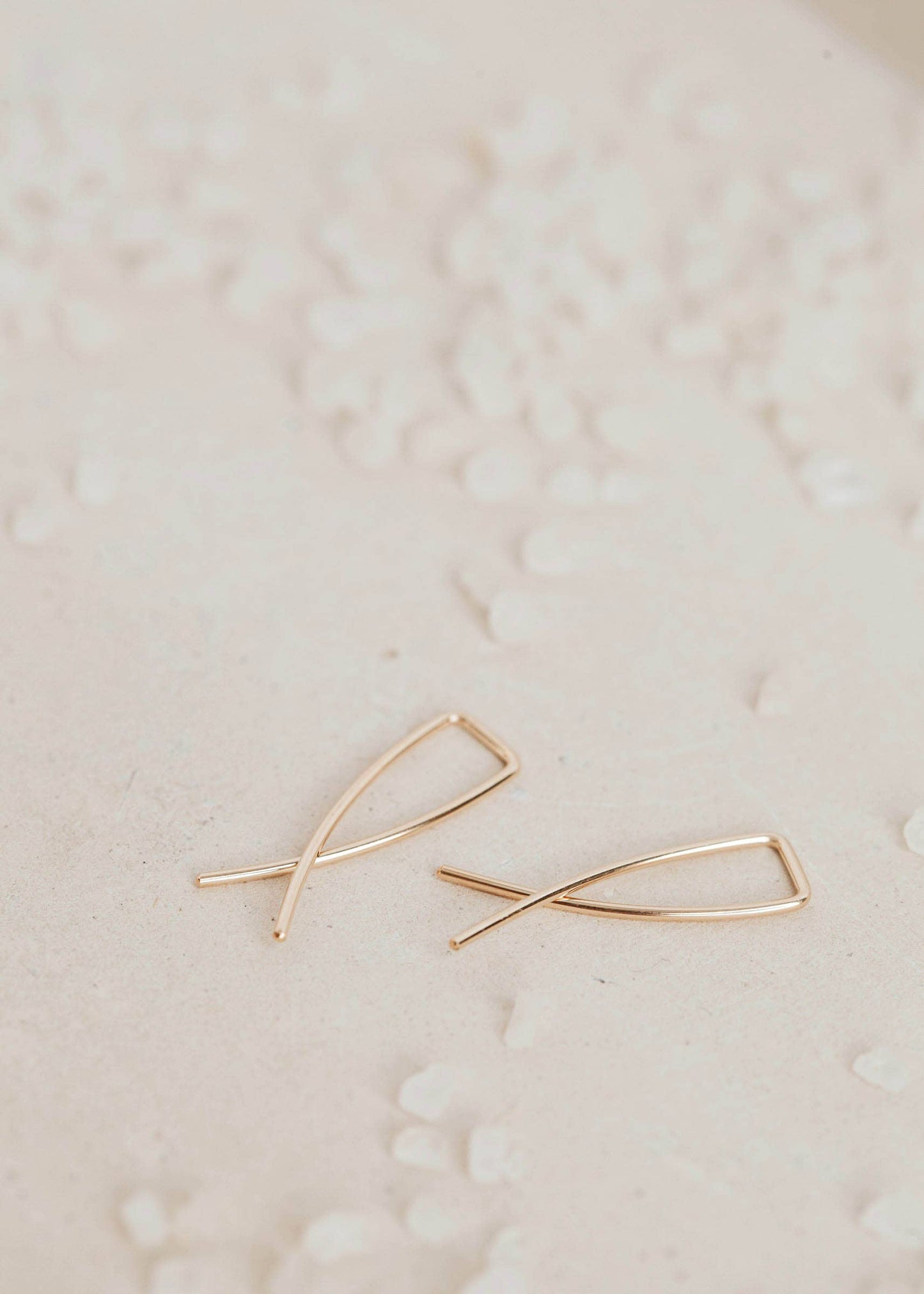 MINI Pescados |14kt Gold Fill