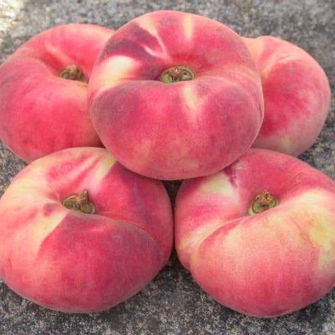 Peach White Balsamic Vinegar: 60ml