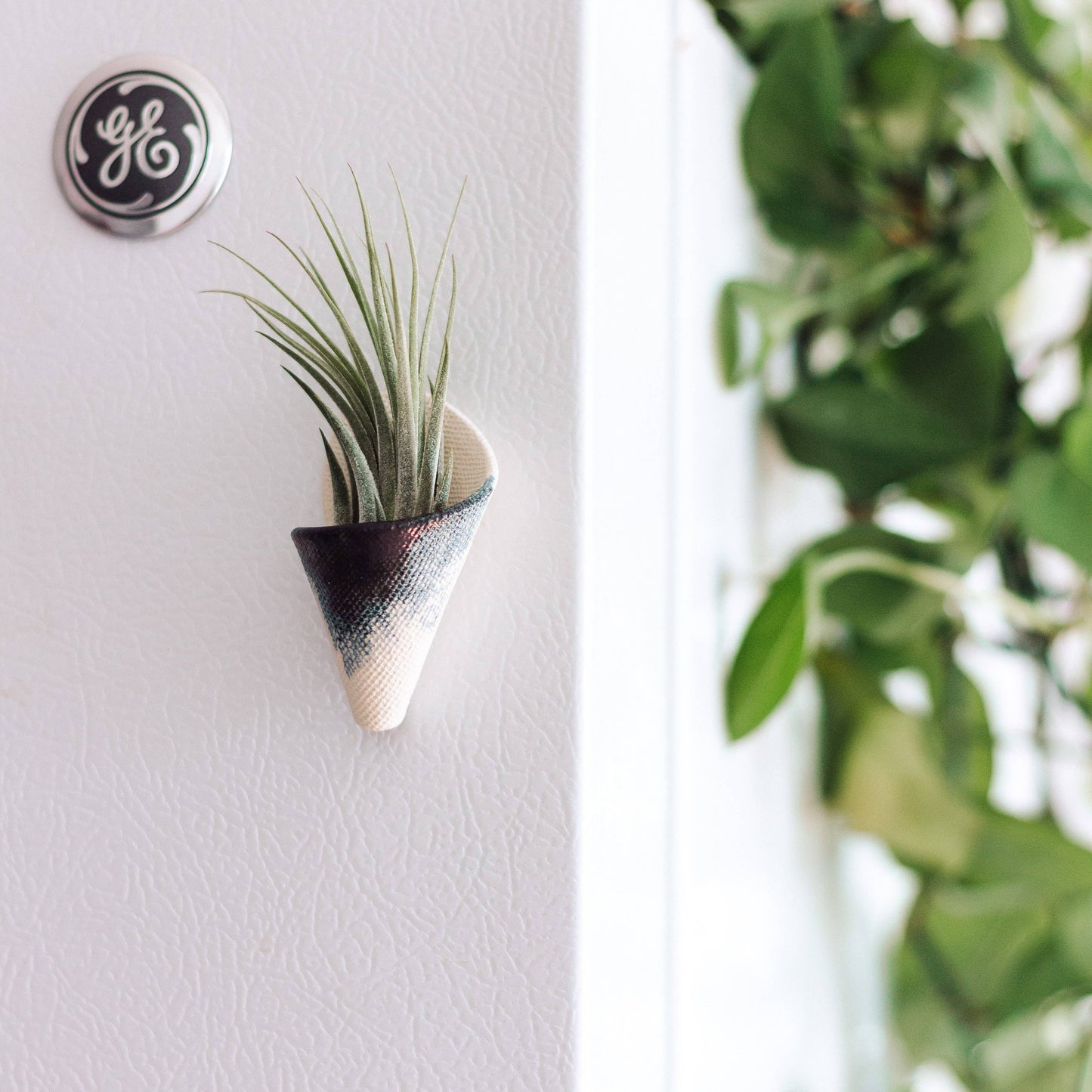 Tiny Ceramic Magnet Planter: Speckled White / With Plant