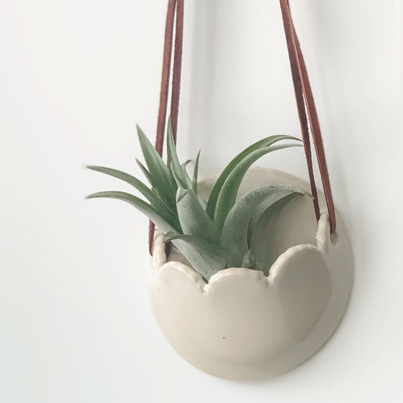 Magpie Mischief - White Ceramic Air Plant Holder, Wall Decor, Fall Home Decor