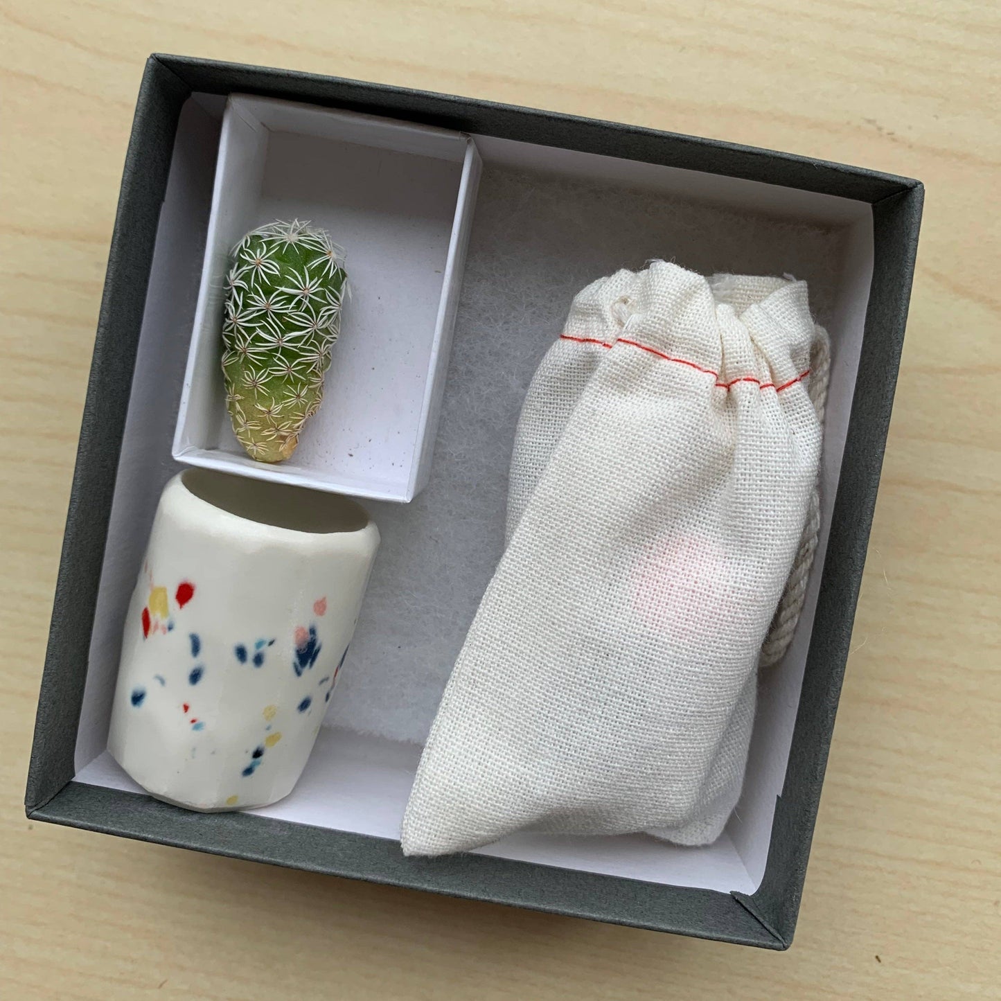 Mini Cactus Kit Speckled Ceramic vase