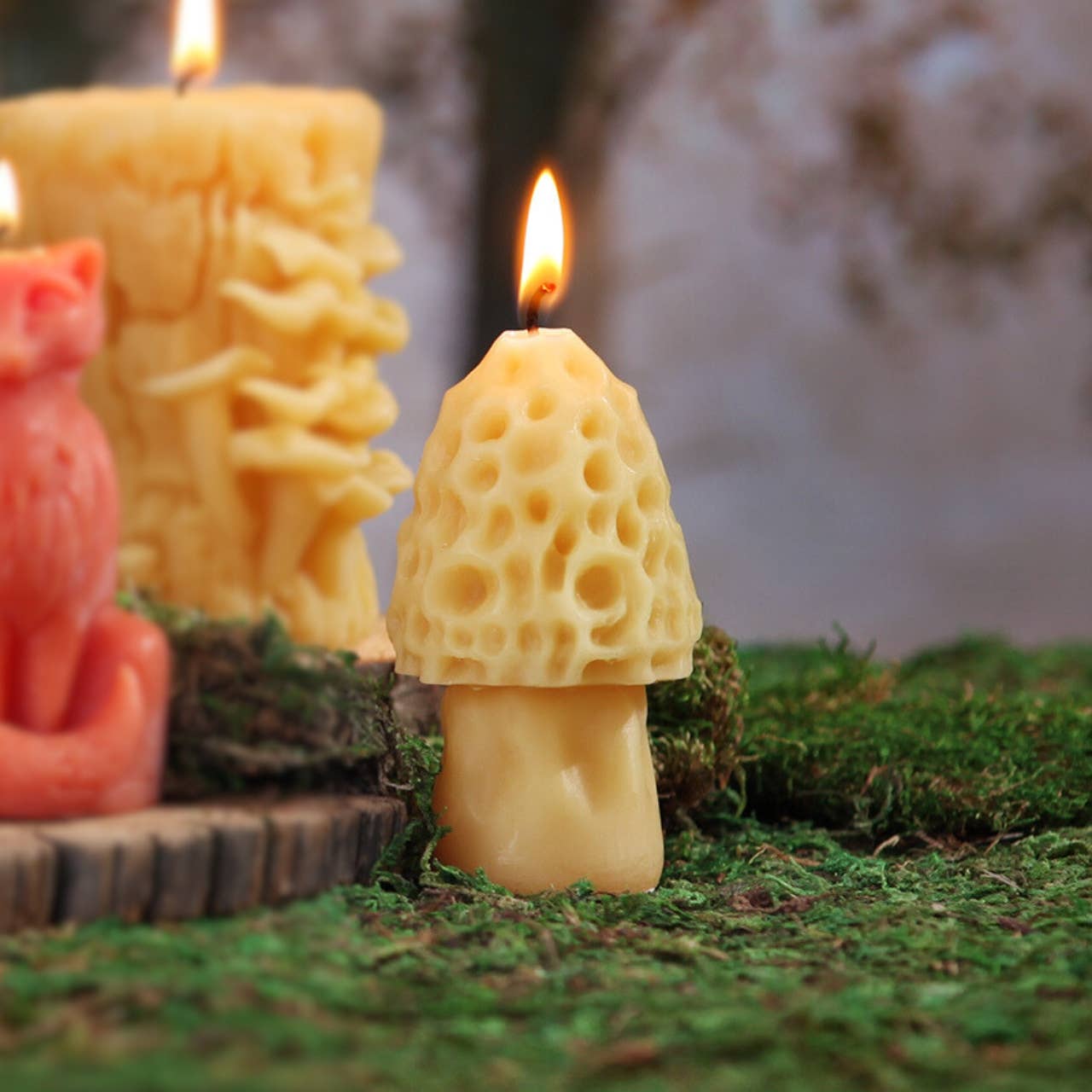 Morel Mushroom Beeswax Candle