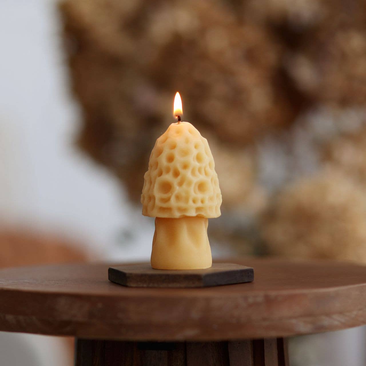 Morel Mushroom Beeswax Candle