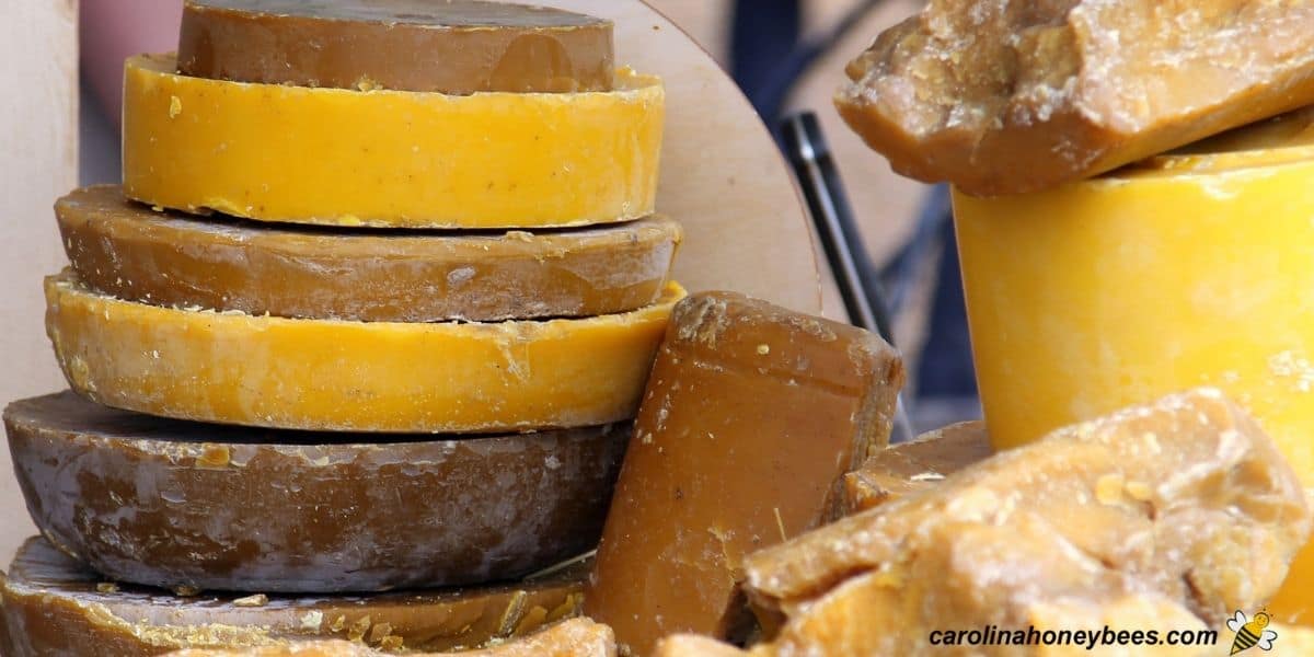 Sister Bees LLC - Leather Beeswax Conditioner