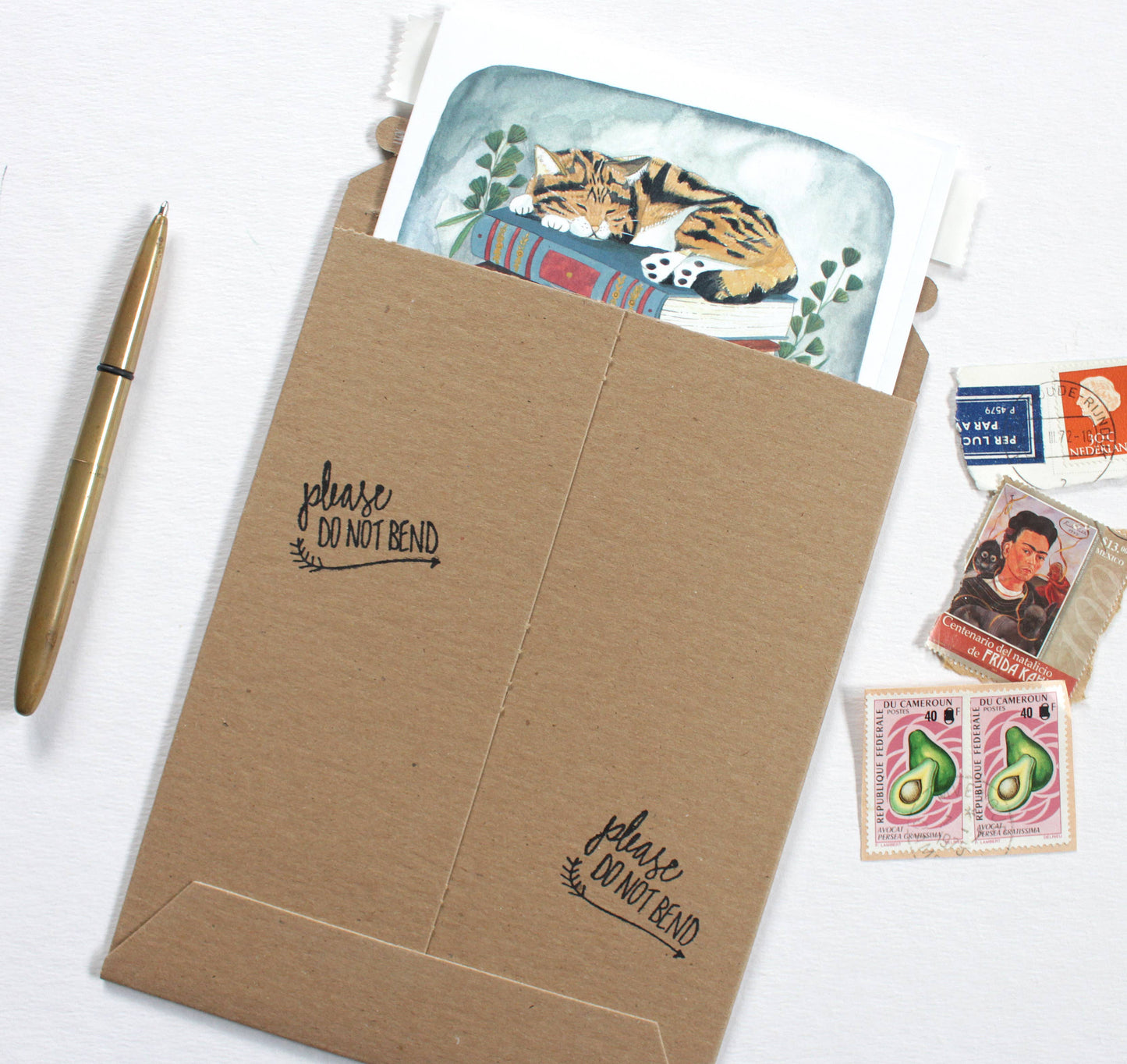 Cozy Cat Nap Greeting Card