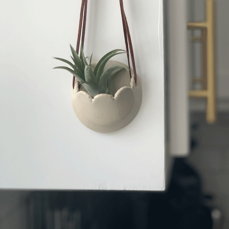 Magpie Mischief - White Ceramic Air Plant Holder, Wall Decor, Fall Home Decor