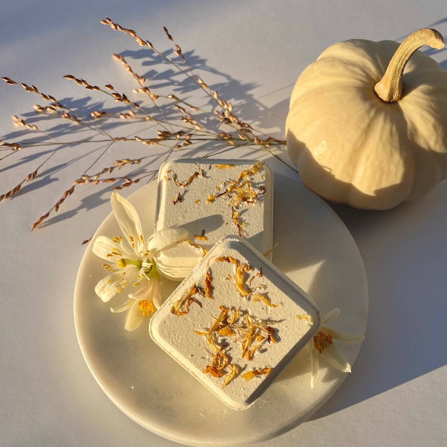 Botanical Shower Steamers - Orange Clove