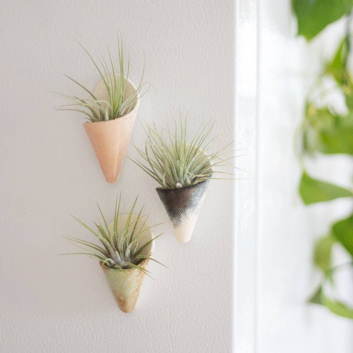 Tiny Ceramic Magnet Planter: Speckled White / With Plant