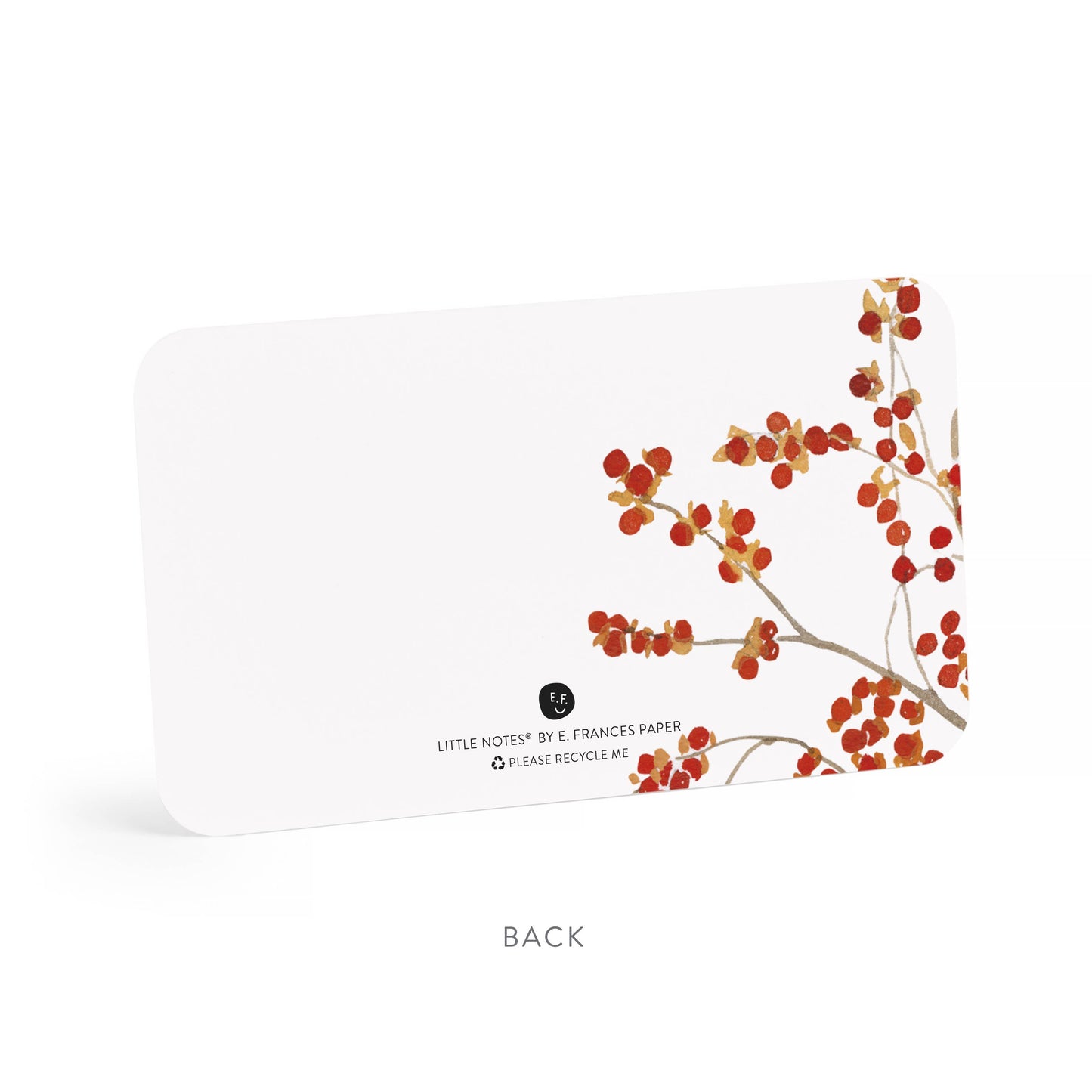 Autumn Berry Pitcher Little Notes