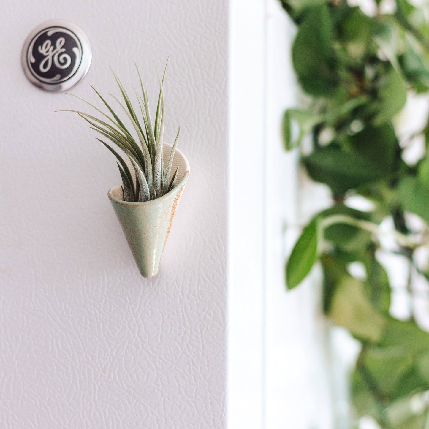Tiny Ceramic Magnet Planter: Speckled White / With Plant