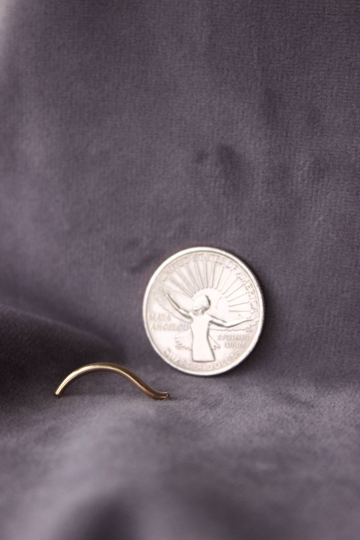 Curve Stud Earrings: 14K Gold Fill