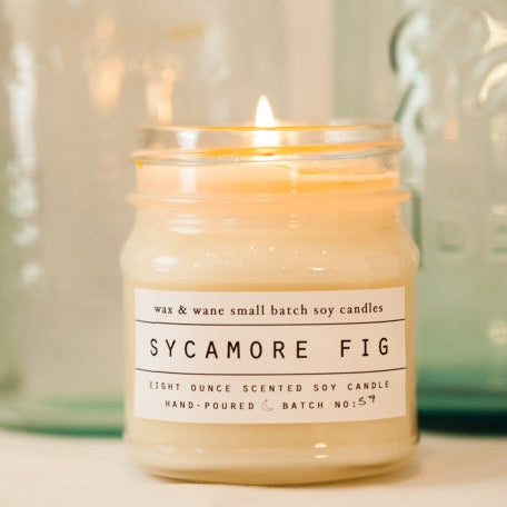 Sycamore Fig Modern Candle