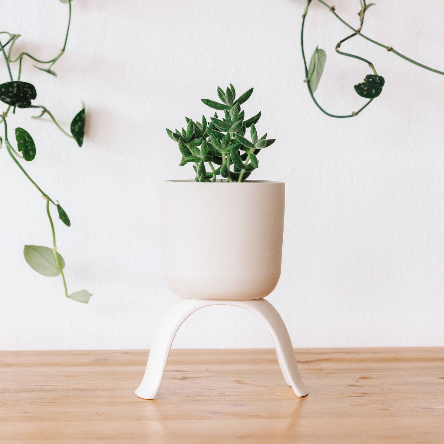 High Rise, Classic Planters: Small (3.5")