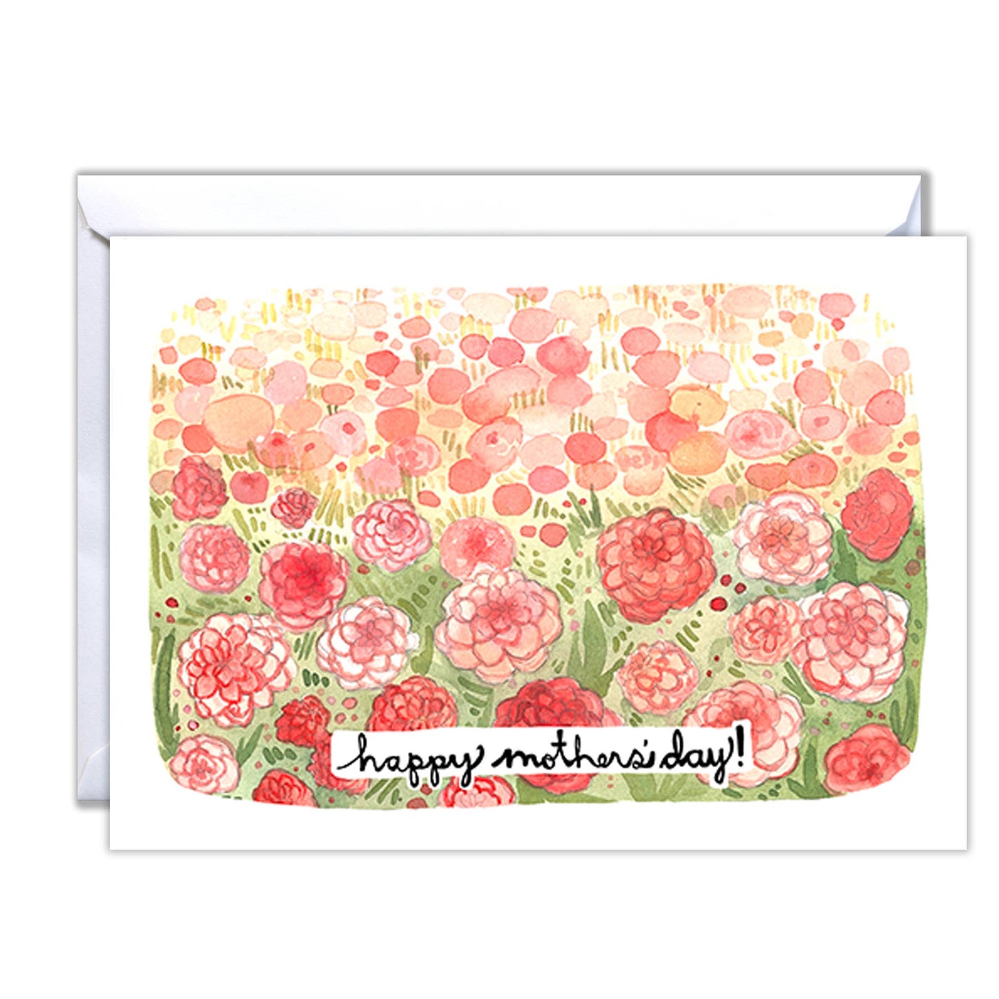 Dahlia Fields