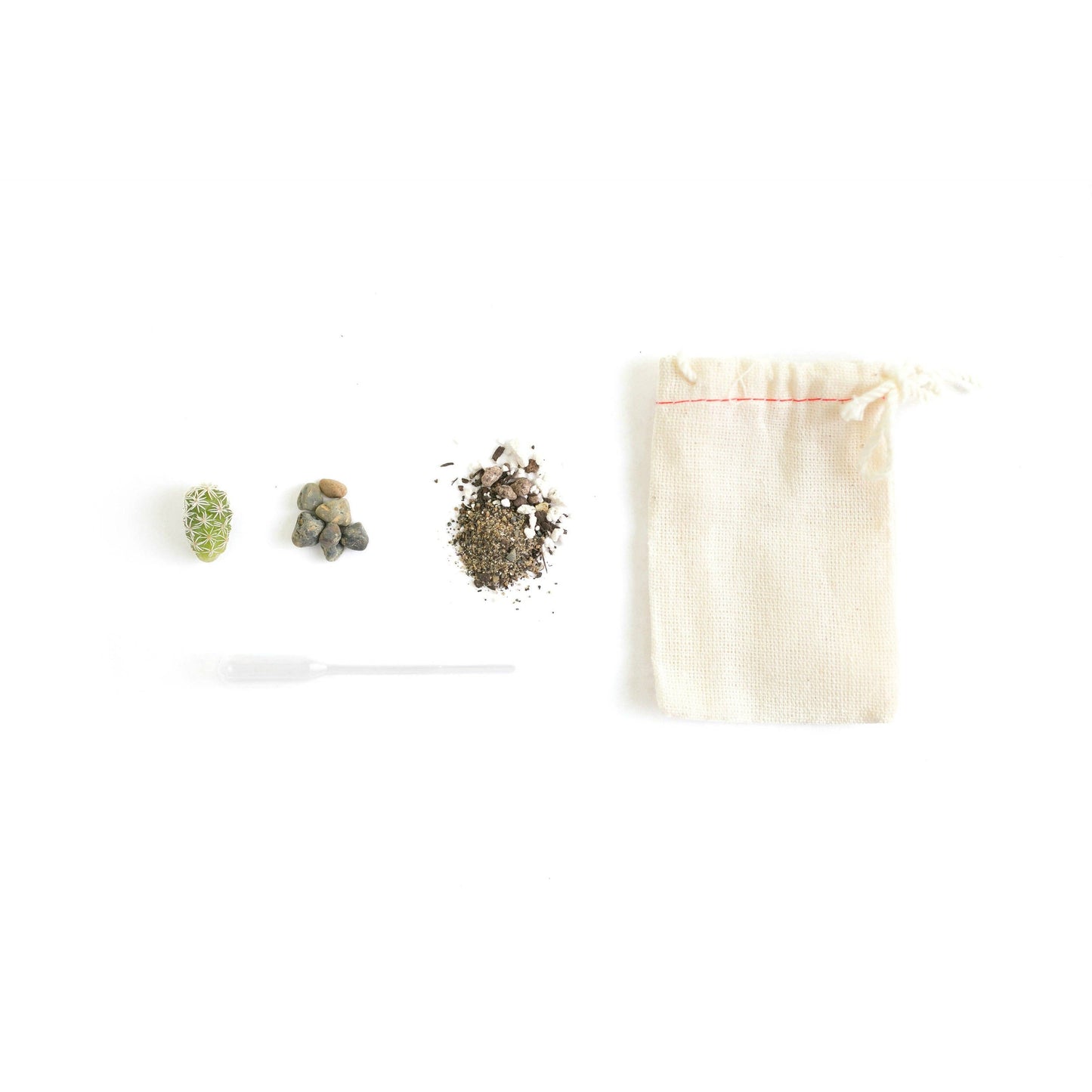 Mini Cactus Kit Blue Ceramic Vase