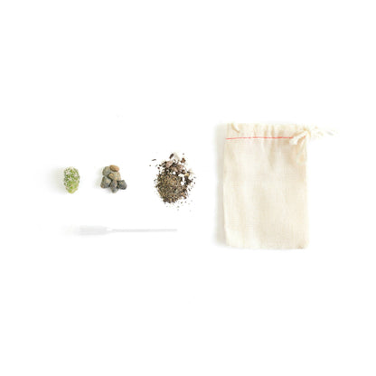 Mini Cactus Kit Pink Ceramic Vase