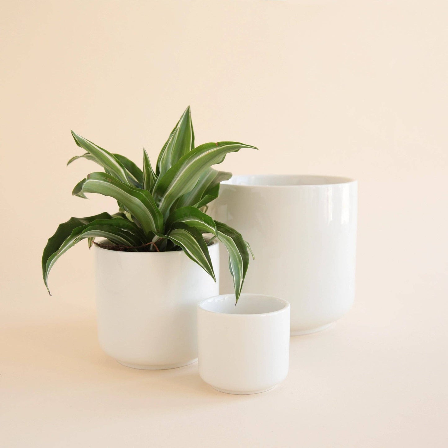 Charlie Planter | White