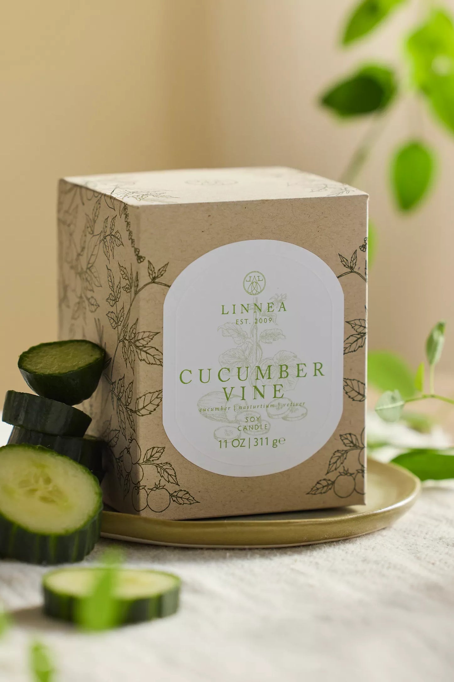 Cucumber Vine Candle - 2 wick