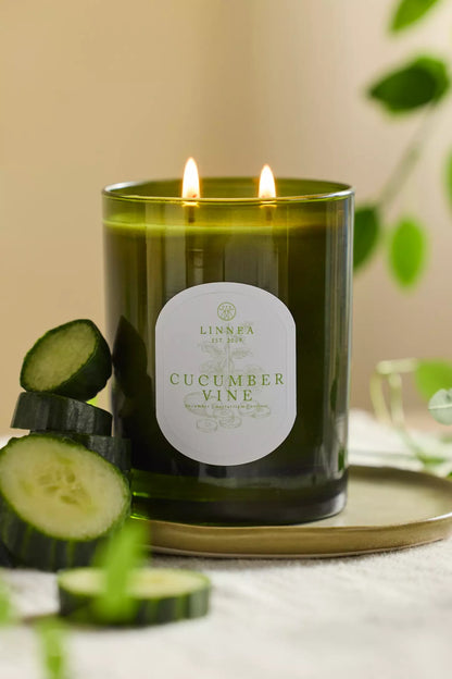 Cucumber Vine Candle - 2 wick