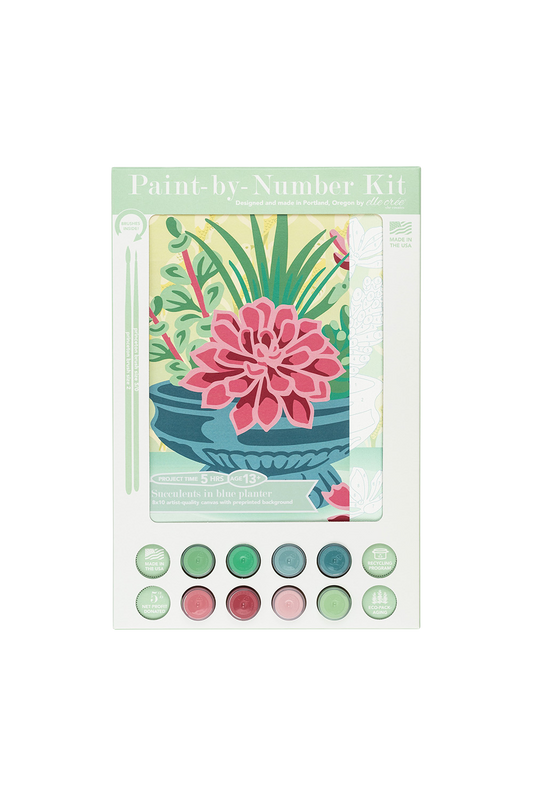 Succulents in Blue Planter Paint-by-Number Kit