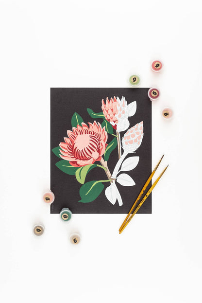 King Protea Blooms (black background) Paint-by-Number Kit