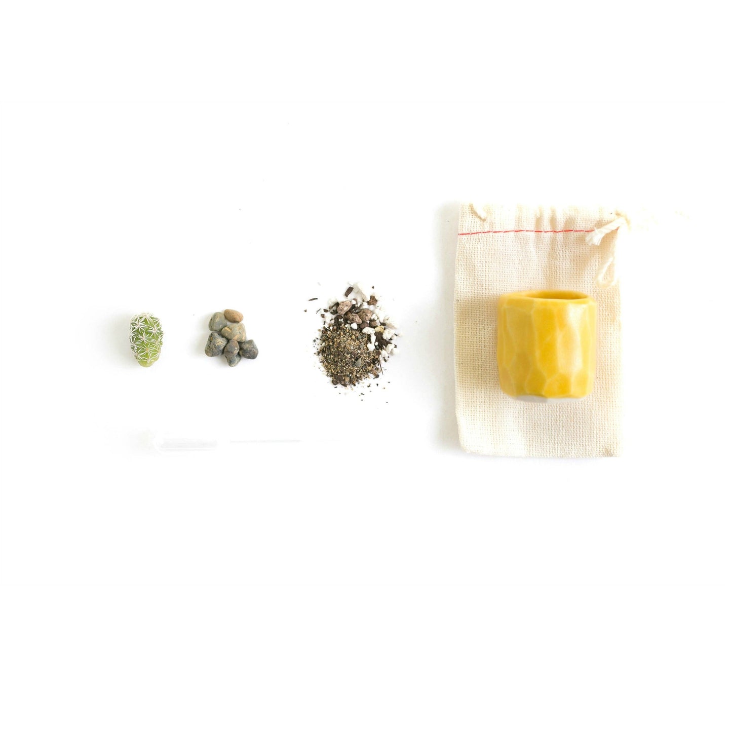 Mini Cactus Kit Yellow Ceramic Vase