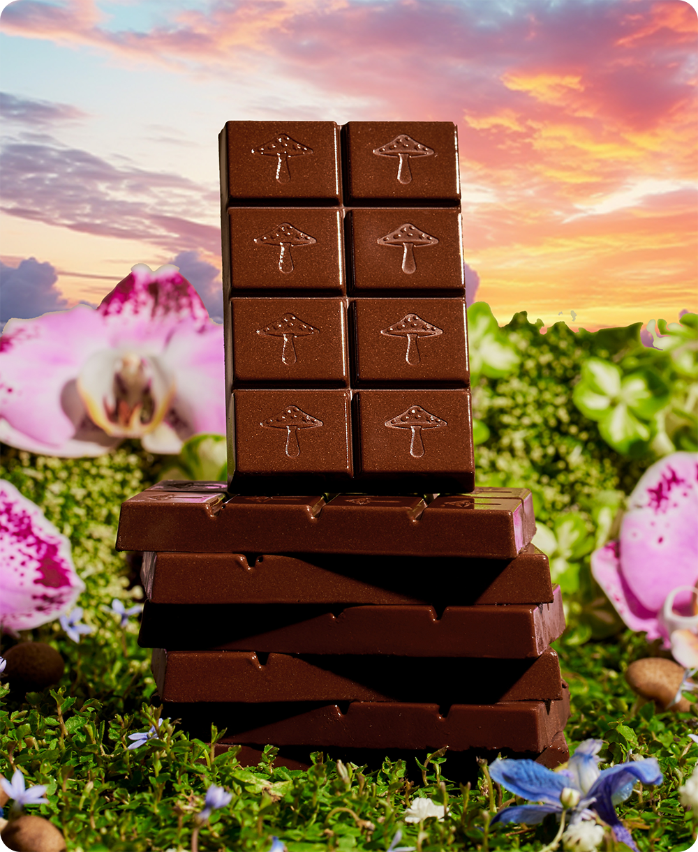 Alice Mushrooms - Happy Ending - mushroom chocolate supplement for wellness