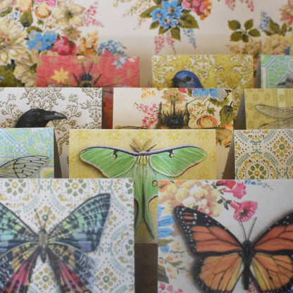 Emily Uchytil - Buckeye Butterfly -  Note Card