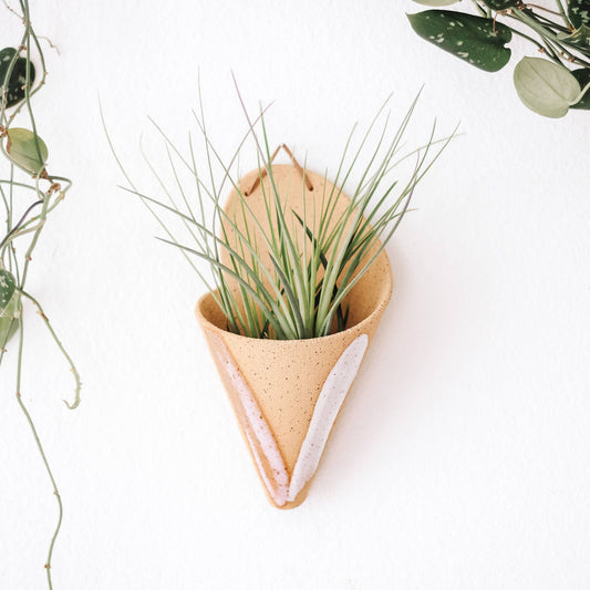 Large Ceramic Cone: Sand / With Plant