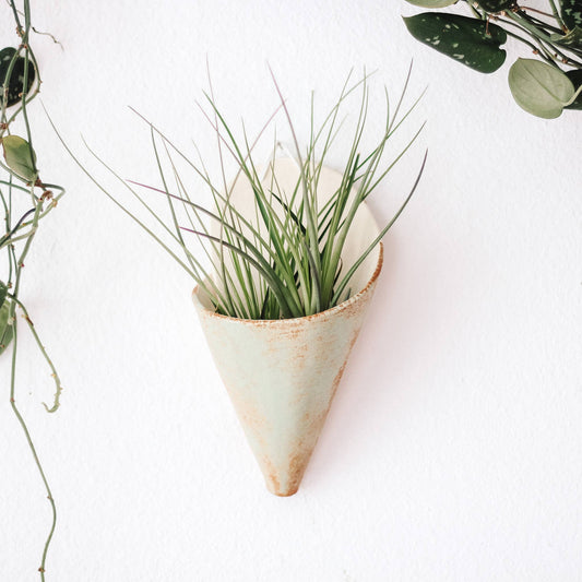 Large Ceramic Cone: Pistachio / With Plant