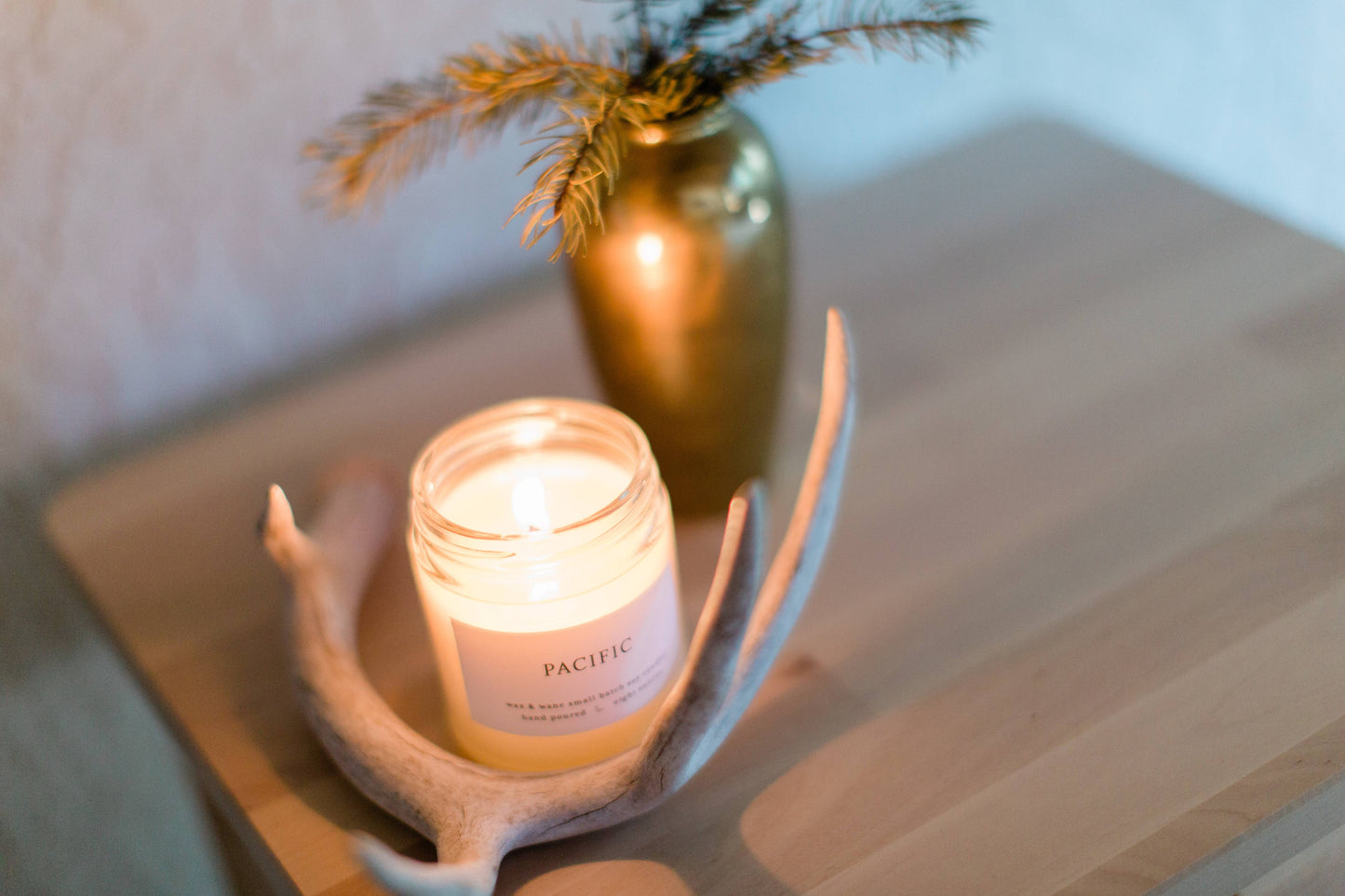 Pacific Modern Soy Candle: 8 oz