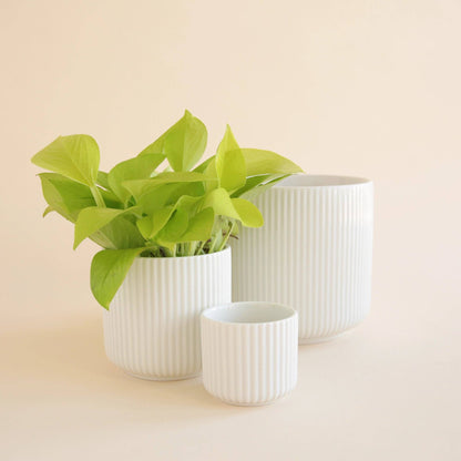 Lucy Planter | White : 3 inch