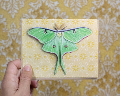 Emily Uchytil - Luna Moth - Note Card