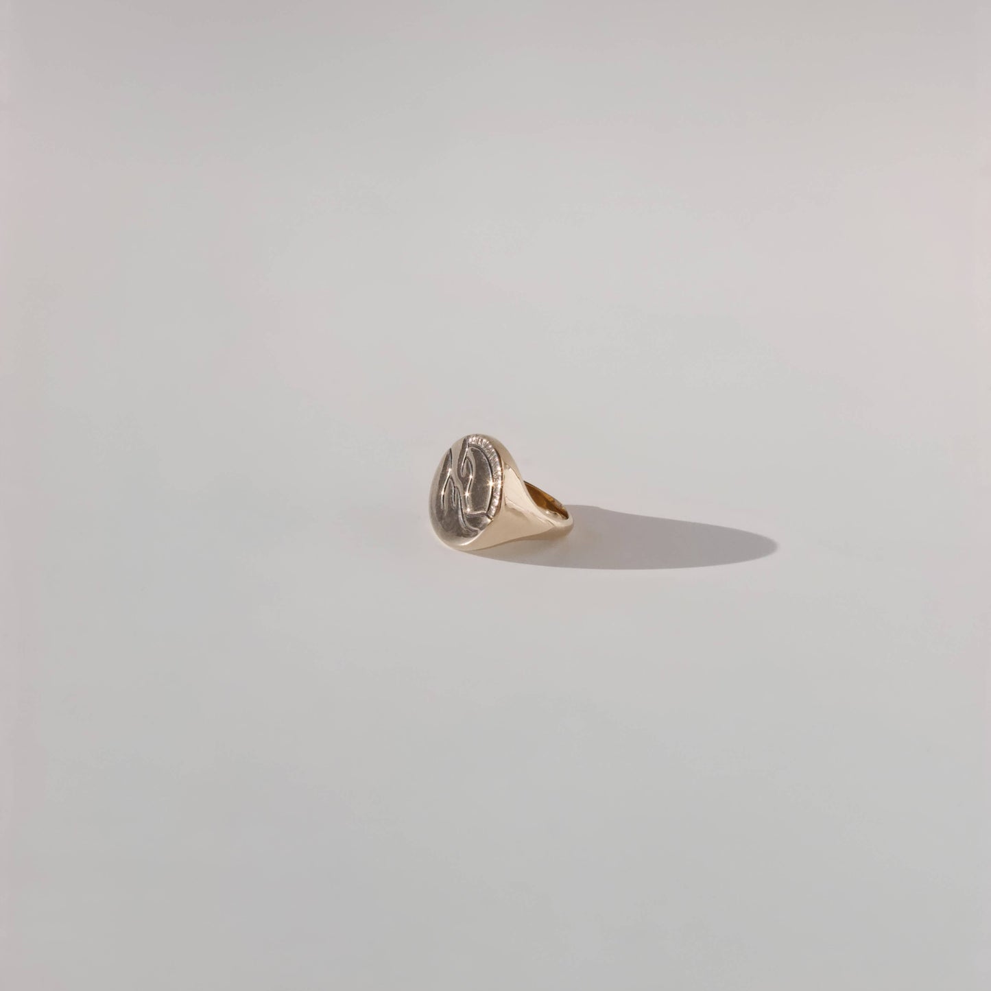 Silver Lining Circle Signet Ring