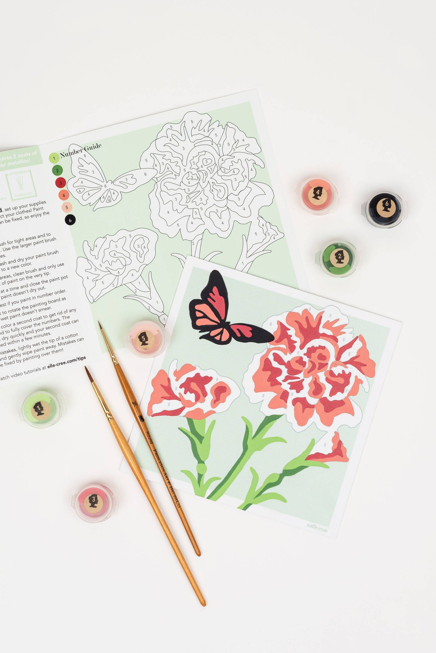 Carnations MINI Paint-by-Number Kit