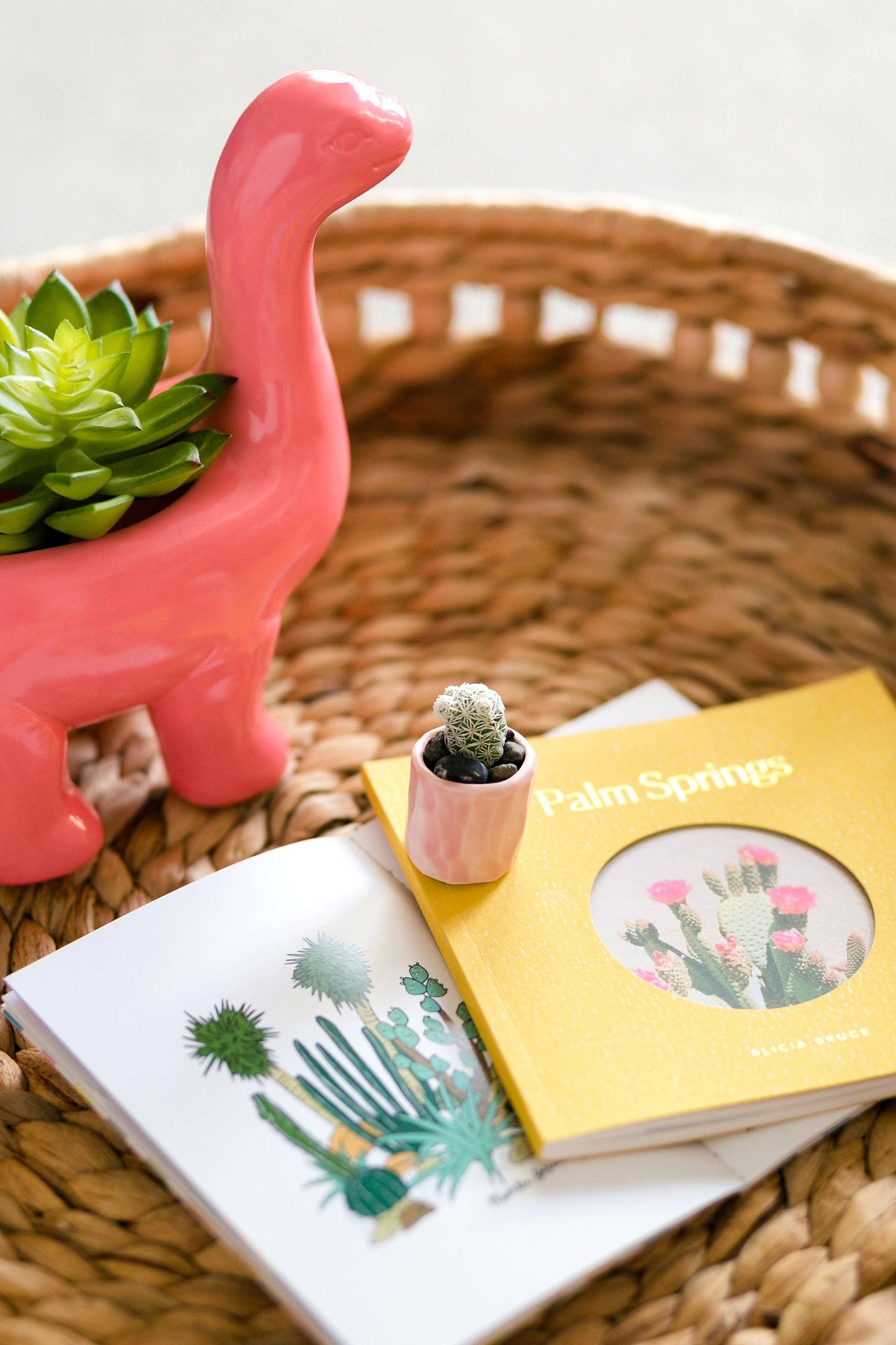 Mini Cactus Kit Pink Ceramic Vase