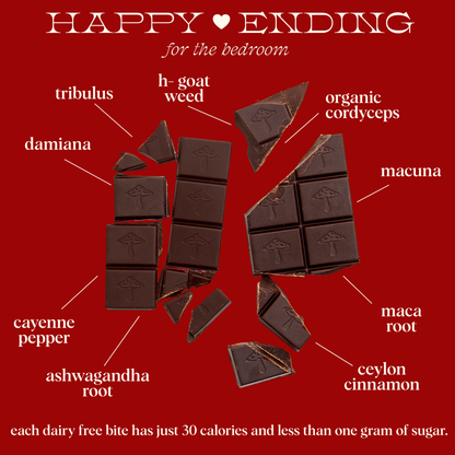 Alice Mushrooms - Happy Ending - mushroom chocolate supplement for wellness