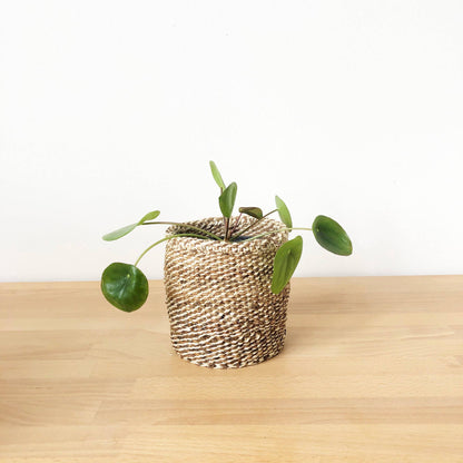 Storage Plant Basket: Banana Leaf: Small