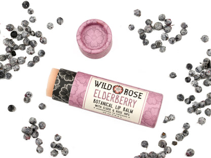Wild Rose Herbs - Elderberry - Natural Lip Balm: 12-Pack Display Box