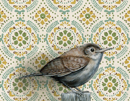 Emily Uchytil - House Wren   -  Note Card