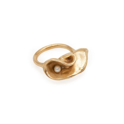 OLYMPIC Ring