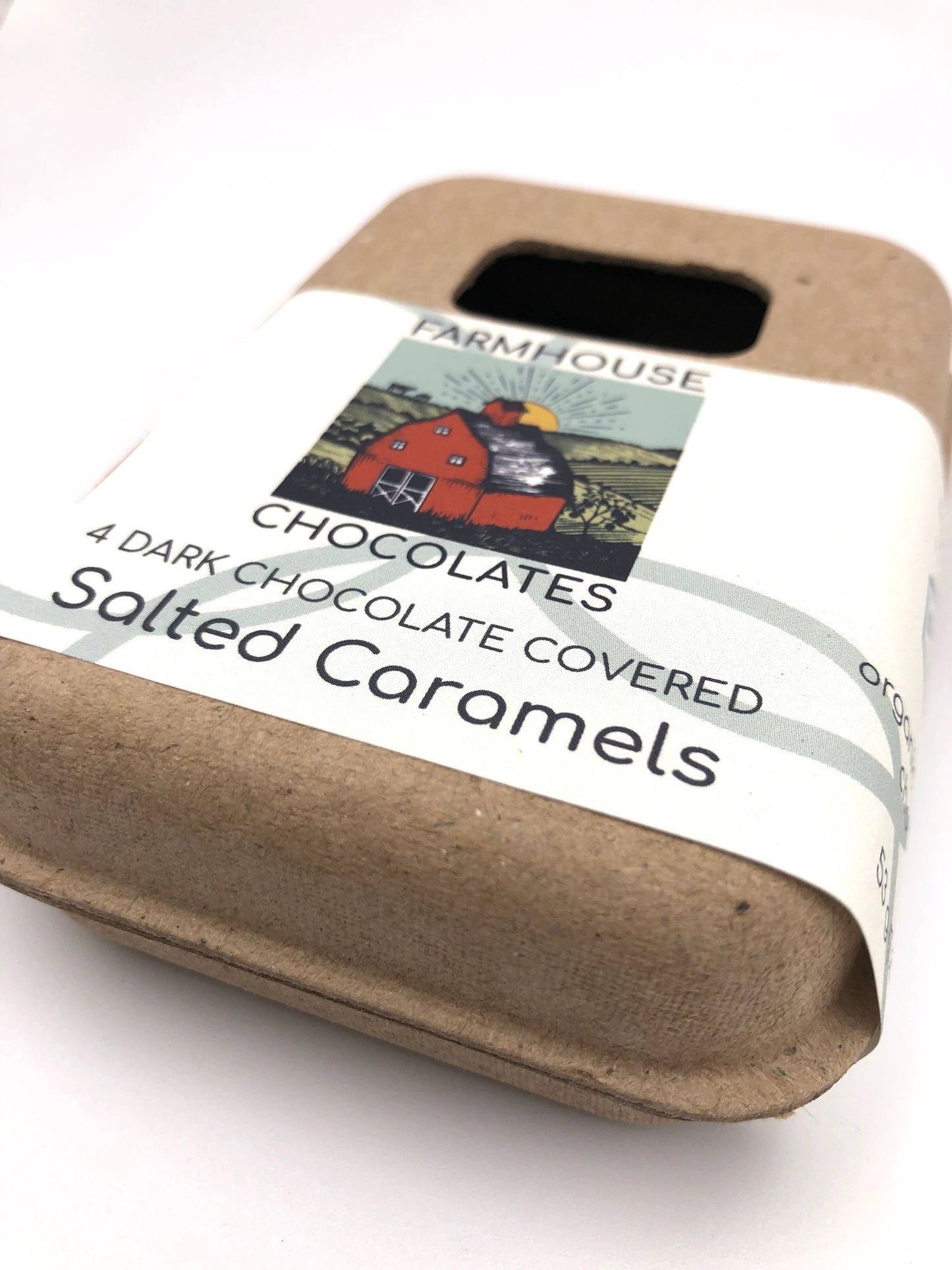 4 Piece Dark Chocolate Covered Salted Caramels